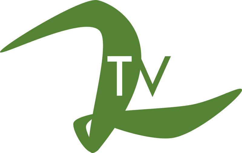 文件:ZTV logo ZTV.png